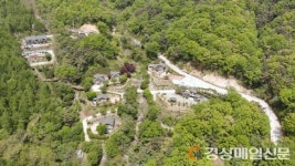 고령군, 체류형 산림관광 프로그램 성황