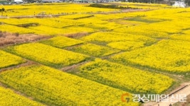  포항시, 미래성장 농산업 실현…침체된 농업 경쟁력 높인다