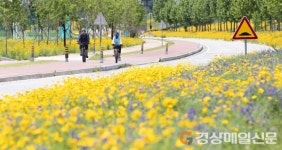 <특집> 구미 낙동강 둔치에 108억 투입…관광지 육성 힘 쏟는다