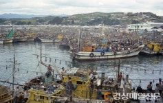 싱싱한 해산물 천국…‘성탄절 죽변항으로 초대’