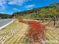 안동, 도심에 녹색 숨 불어넣는다