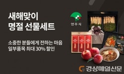 “영주 꽃고을관서 선물세트 싸게 구매해요”