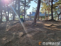 울진군 울진읍, 연호정 주변 환경정비