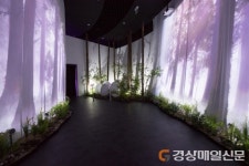 세계적 거장 ‘앙리 마티스’ 전시 인기몰이