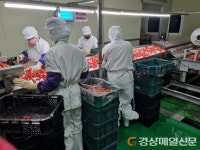 고령 딸기, 농촌 융복합 산업지구 공모 선정