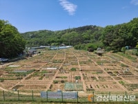대구 수성구, 공영도시농업농장 분양자 모집