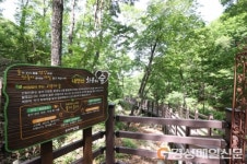 힐링 명소 ‘포항숲’ 재정비…심신 치유 ‘더욱 알차게’