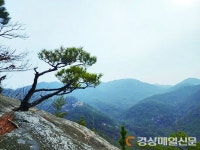 <편집국에서> 남산 용장곡에서 하루를 보내다