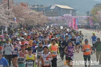 반갑다 경주벚꽃마라톤…4년 만에 정상 개최 ‘신청 쇄도’