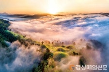 고령, 대표 관광자원 발굴 육성 ‘큰 호평’