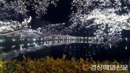 김천시, 관광 명소 연화지서 자두 가공제품 시음회