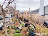 달성군 매곡2리 마을정원 ‘봄꽃 향기 가득’