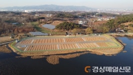 경산시, 도시농업 공영농장 개장