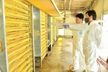 조현일 경산시장, 축산농가 현장방문