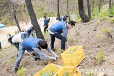 한국수력원자력 한울본부, 산림생태복원 나무심기 행사