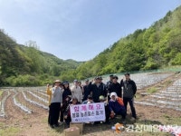 영양 청기면, 영농철 고추농가 일손 돕기 나서