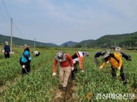 군위군 우보면 행정복지센터, 농촌 일손돕기