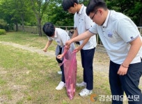 영주 영광고, 주택가ㆍ도로변 환경정화 봉사