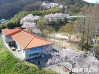 고령군, 대가야교육원 수강생 모집