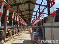사단법인 축산기업중앙회 포항시지부 | 포항시, ‘한우농가 위기 극복’ 조사료 지원 7억 투입