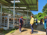경북도, 진료ㆍ상담ㆍ소독까지…동물의료지원단 투입