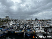 <포토> 포항항에 피항한 어선들