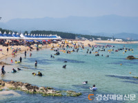 영덕군 7개 해수욕장 일제 폐장…20만 명 성시