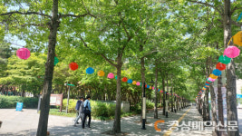대구시, 산림청 ‘가로수 조성ㆍ관리’ 권역별 교육 개최