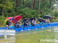 안동시, 메기 어린물고기 16만 마리 방류
