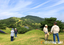 고령군-달성군-달서구, 지역 연계 투어버스 운영