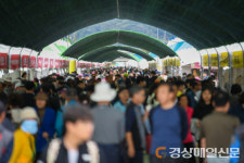 영주 풍기인삼축제 인기몰이…사흘 황금연휴 14만 명 발길