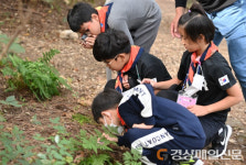 대구 남구, 가을 맞이 뚜벅뚜벅 앞산 숲 탐험
