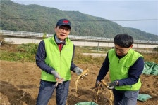 농협 영주시지부, 수확기 농촌 방문 구슬땀