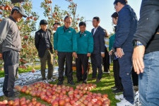 농식품부, 영주 봉현면 우박피해 현장 점검