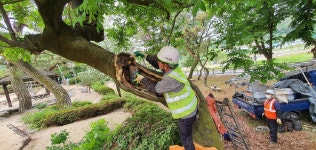 경북도, 전국 학교숲우수사례 ‘봉화 물야초교’ 최우수