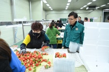 홍성구 김천 부시장 ‘영농현장 속으로’