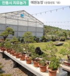 <특집> 안동지역 농가 ‘치유 농업’으로 지속가능한 소득 창출
