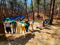 봉화군, 유아숲교육 참여 어린이집 모집