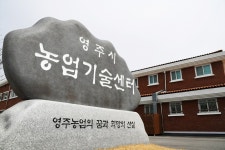 영주, 소ㆍ염소 구제역 예방백신 일제 접종