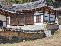 <카메라 고발> 영주 의산서원 인근 산림훼손 심각…“철저한 조사를”