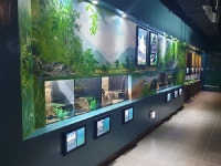 경북도 “올 여름휴가 민물고기생태체험관 어때”