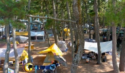 여름휴가는 울진 솔ㆍ펫ㆍ프라이빗 비치로~