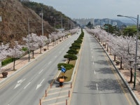 김천 조각공원길...‘우수관리 가로수길’ 선정