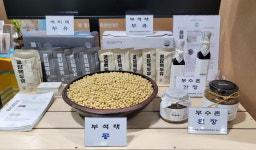 명품 영주콩 ‘부석태’ 맛ㆍ우수성 알린다