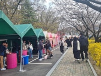 ‘벚꽃 명소’ 김천 연화지서 봄밤 만끽