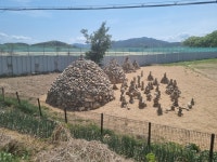 ‘경주 APEC 성공 기원’ 쌓아올린 돌탑들