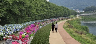 상주 북천지구 사계절 아름답게