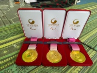 전국장애인체육대회, 에스엘주식회사 정창민 선수 3관왕