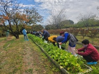 경산 압량읍지역사회보장협의체,바람햇살농장 및 동의한방촌 체험활동