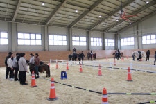 상주국제승마장관리사업소, 장애인 대학생 재활 승마 체험 운영